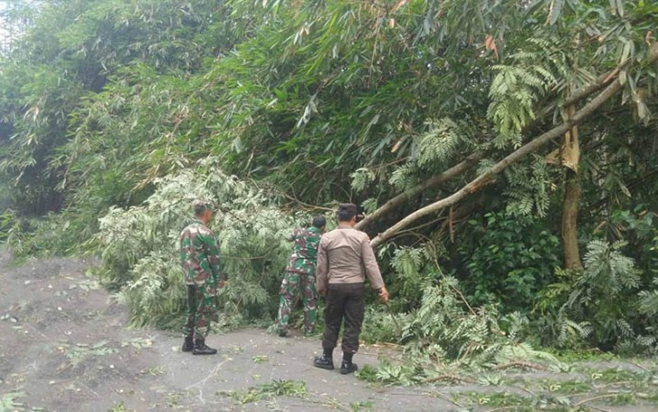 Sinergi TNI-Polri, BPBD dan Warga saat Atasi Dampak Pohon Tumbang di Desa Sugihan, Trenggalek