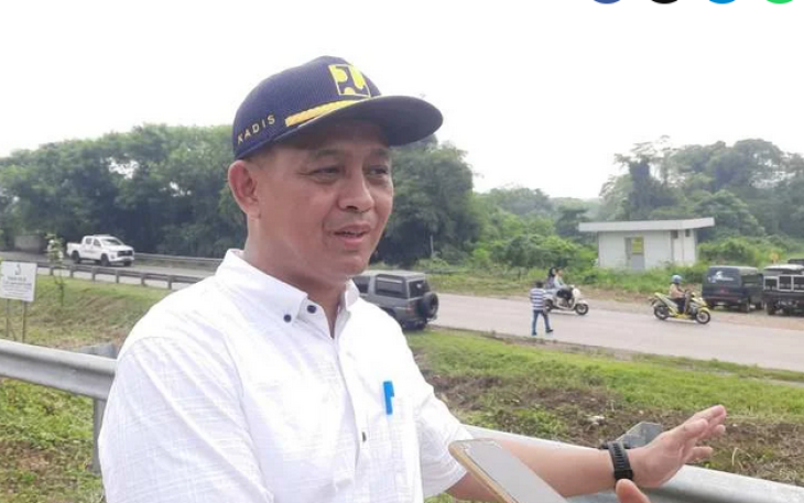 Kepala Dinas Sumber Daya Air Bina Marga dan Bina Konstruksi (DSDABMBK) Kabupaten Bekasi, Henri Lincoln