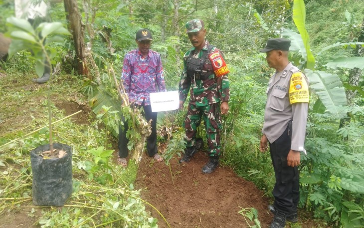 Babinsa Ngranget Dampingi Penanaman Bibit Pohon Produktif