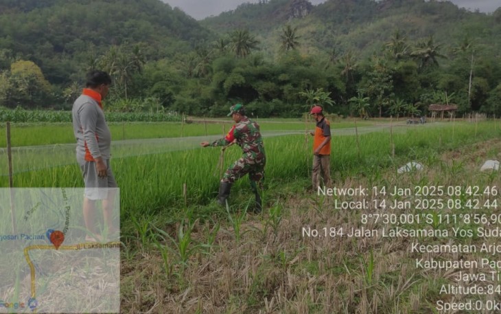  Babinsa Koramil 0801/03 Arjosari Bantu Petani Pasang Jaring