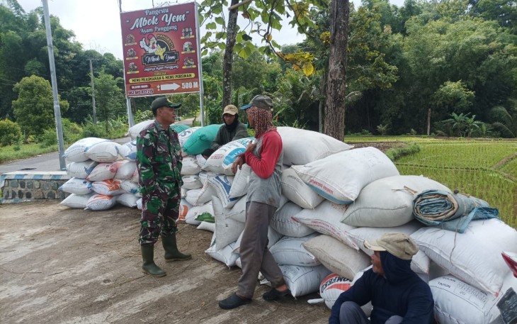 Pendampingan dan Pengawalan Petani Tugas Rutin Babinsa Kodim Ponorogo