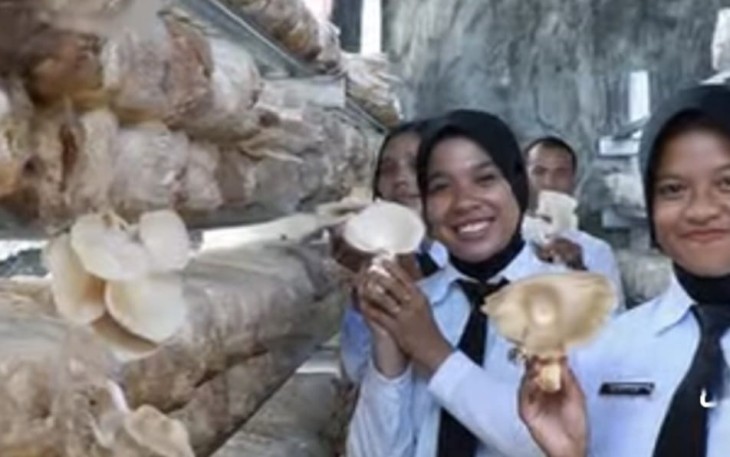 Panen Jamur Tiram Hasil Budidaya Warga Binaan Rutan I Medan