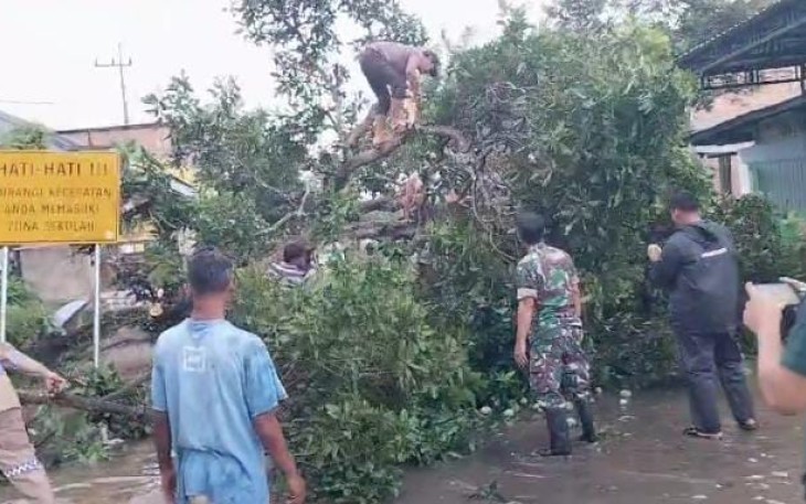 Babinsa Koramil 0801/03 Arjosari Bersihkan Pohon Tumbang