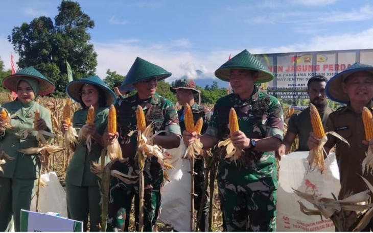 Kasdam XIII Merdeka Brigjen TNI Yustinus Nono Yulianto, S.E., M.Si bersama Danrem 131/Stg, Brigjen TNI Martin Susilo Martopo Turnip, S.H.,M.H dan  Dandim 1310/Bitung Letkol Czi Hanif Tupen, S.T.,M.I.P beserta para pejabat teras Kodam dan Korem saat melaksanakan panen jagung perdana di hanpangan binaan Kodim 1310/Bitung