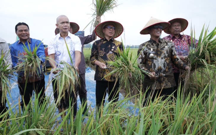Menteri Desa dan Pembangunan Daerah Tertinggal (Mendes PDT) Yandri Susanto melakukan Panen Raya dan Tanam Bersama di Desa Tempuran, Kecamatan Trimurjo, Kabupaten Lampung Tengah, Provinsi Lampung, Kamis (14/8/2025)
