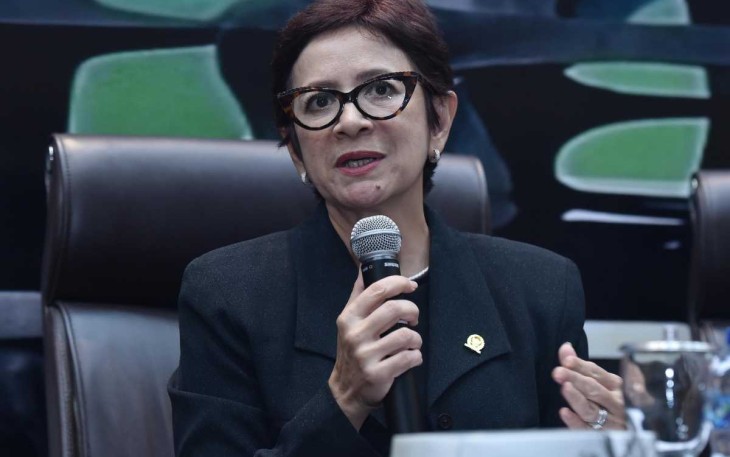 Anggota Komisi I DPR RI, Nurul Arifin