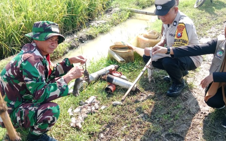 Kerja Bakti Kendalikan Hama Tikus
