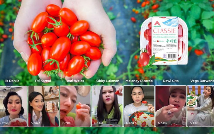 Cherry Tomato Stevia Astyfarm