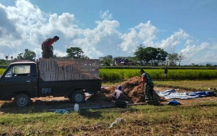 Panen kedelai petani wilayah desa binaan 