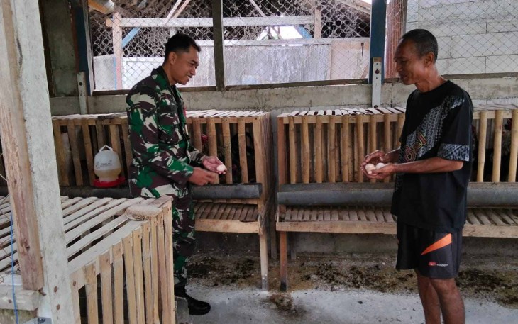 Sertu Saiful Anwar mendampingi peternak ayam di wilayah desa binaan 