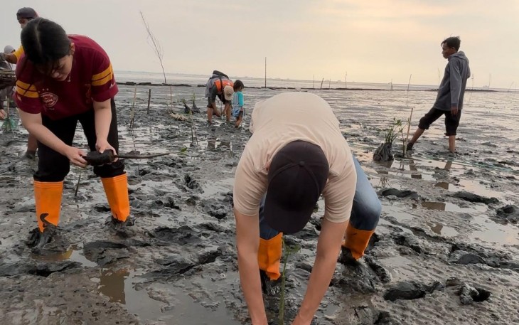 KAI Logistik Tanam 2.000 Mangrove