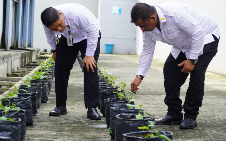 Rutan Kelas I Medan Mendukung Program Ketahanan Pangan  Lakukan Penanaman Bibit Cabai dan Terong.