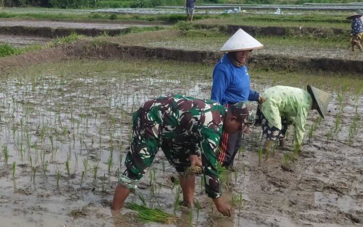 Tanam padi bersama warga binaan