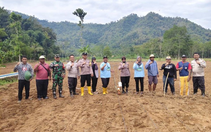 Tanam jagung di wilayah desa binaan 