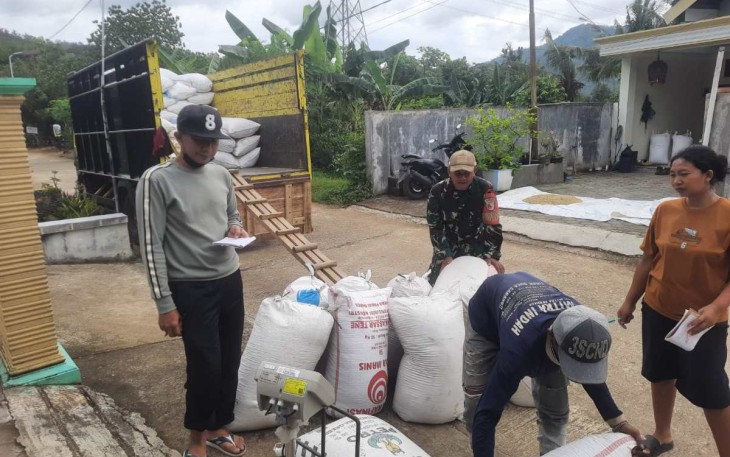 Penyerapan gabah petani desa binaan 