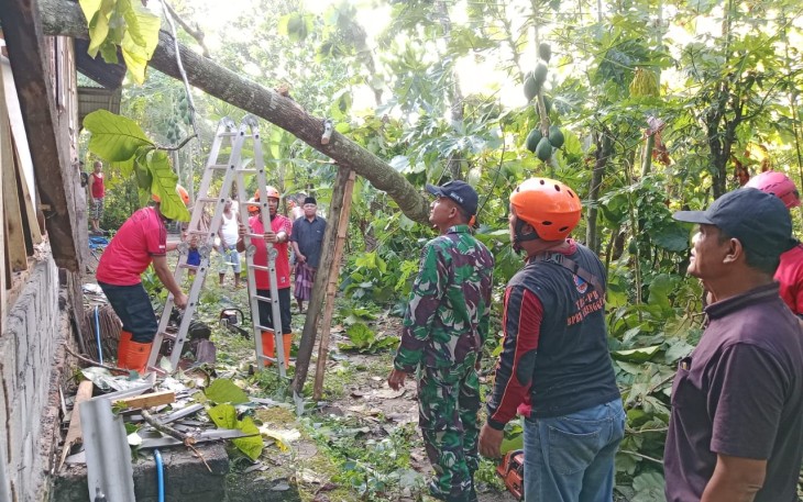 TNI-BPBD Trenggalek Sigap Evakuasi Pohon Tumbang di Desa Kerjo 