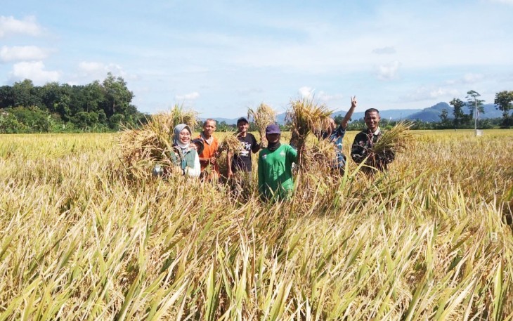 Karangsoko Jadi Lokasi Utama Panen Raya Serentak Nasional di 14 Provinsi 