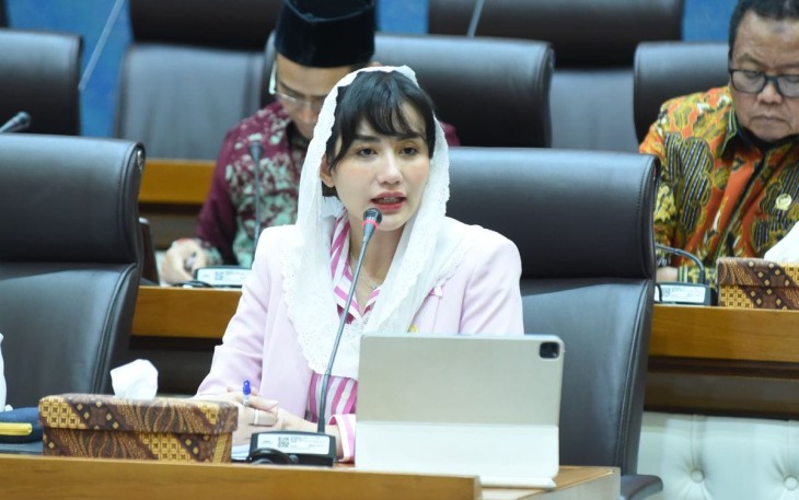 Anggota Komisi VII DPR RI, Novita Hardini