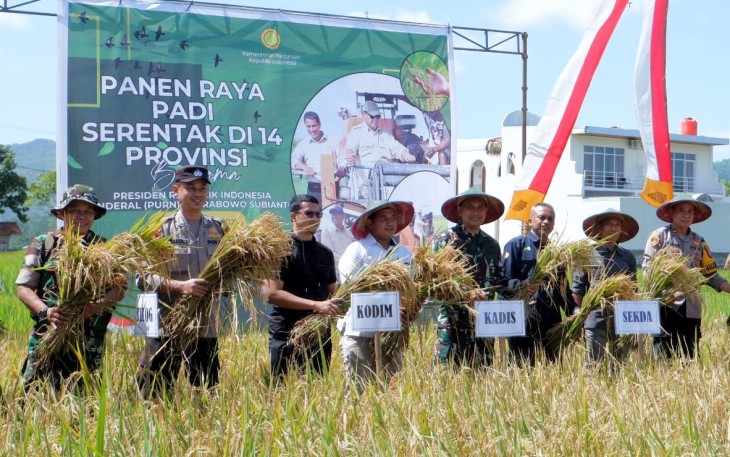 Panen Raya Serentak Ikuti Arahan Presiden RI, TNI dan Petani di Pacitan Jaga Ketahanan Pangan Nasional