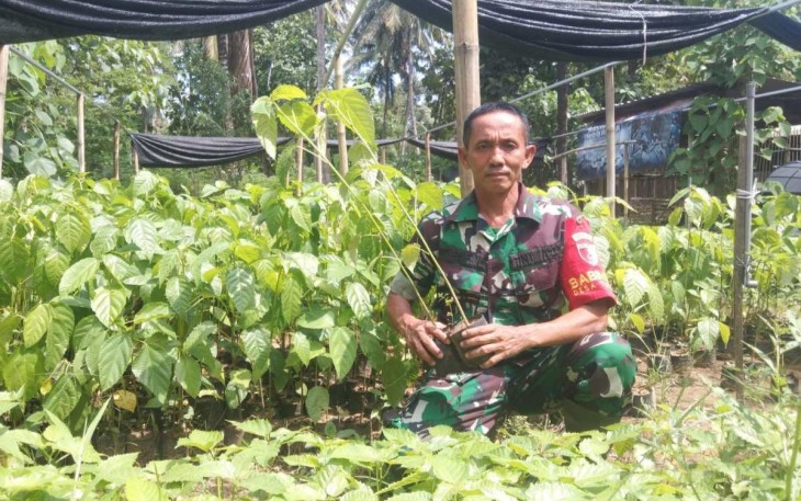 Sertu Tarsipan Pelestari Lingkungan Babinsa Koramil 11 Panggul 