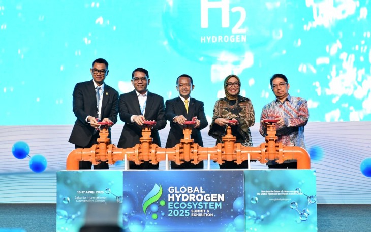 Pemerintah Genjot Ekosistem Hidrogen Nasional