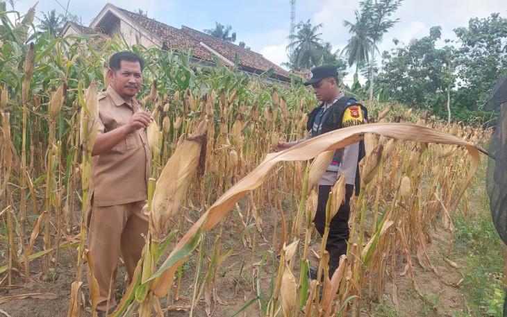 Polsek Belitang III Beri Imbauan Kepada Para Petani