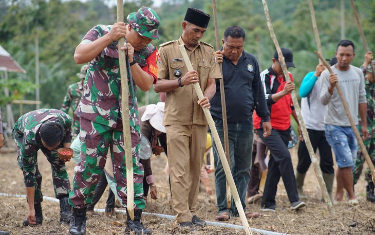 Dansatgas TMMD Ke-124 Kodim 0408/BS Tanam Jagung Bersama
