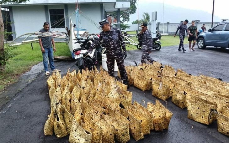 TNI AL Tangkap Kapal Bermuatan Ayam Ras Filipina dan Minuman Keras Ilegal di Perairan Kapulauan Sangihe