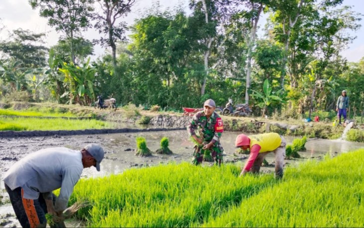 Ketahanan Pangan dan Dampaknya Bagi Bangsa Indonesia