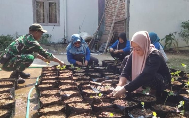 Babinsa Kodim Ponorogo Pendampingan Program Pangan Lestari