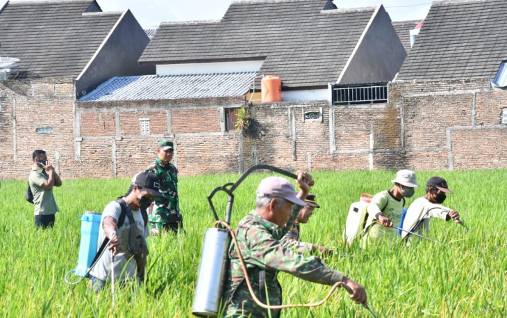 Dandim Ponorogo Langsung Temui Para Petani