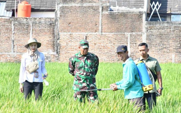 Penyemprotan pestisida d lahan pertanian warga binaan 