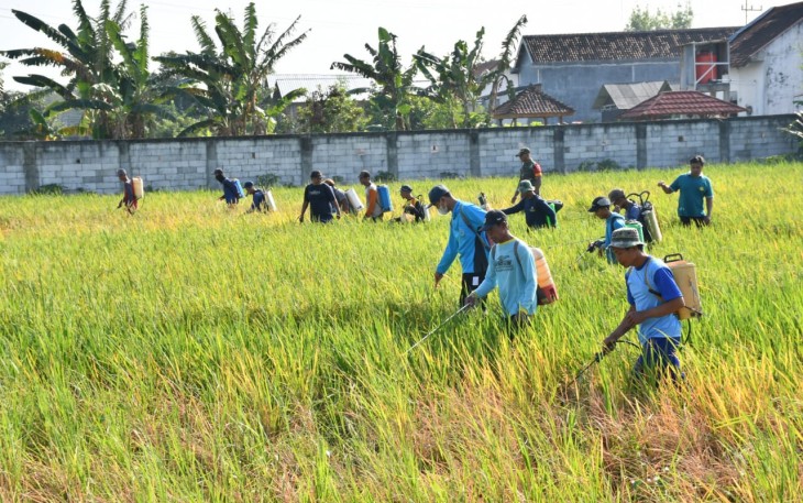 Upaya Dandim Ponorogo Sejahterakan Petani