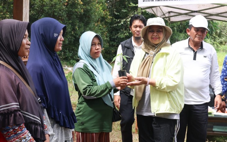 Pemprov Kepri Bagikan Bibit Cabai Gratis