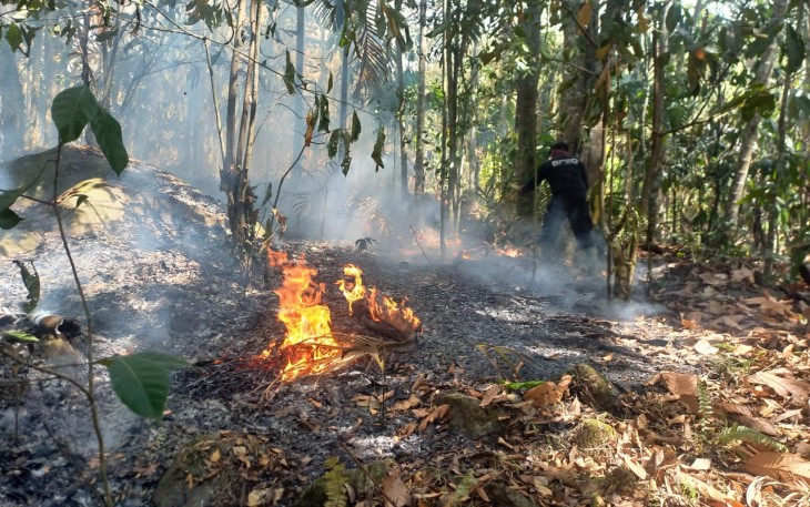 BNPB Tangani Karhutla di Riau