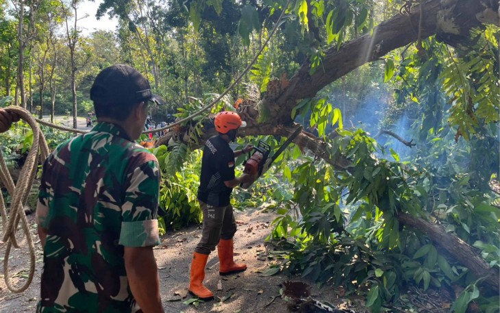 TNI dan BPBD Trenggalek Turun Tangan