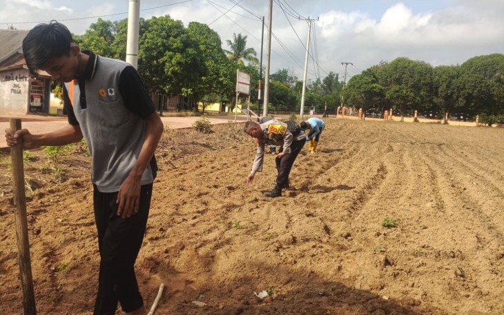 Personel Polsek Belitang III Laksanakan Pengecekan Lahan Ketahanan Pangan