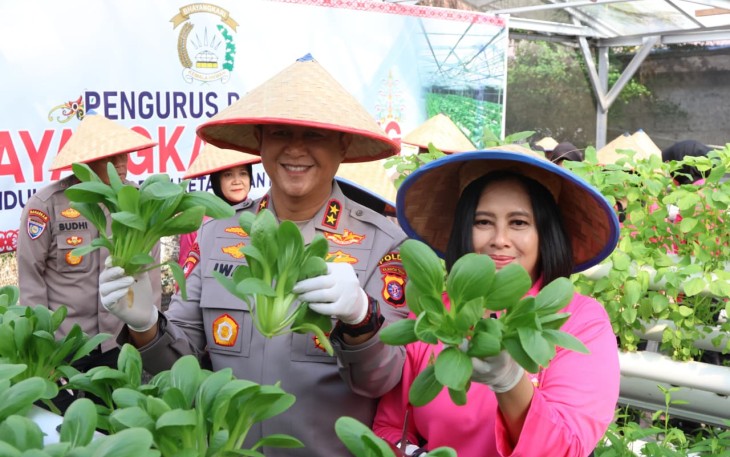 Kapolda Kalimantan Tengah Irjen Pol Iwan Kurniawan, S.I.K., M.Si. bersama Ketua Bhayangkari Kalteng Ny. Maya Iwan Kurniawan, melaksanakan kegiatan panen sayuran di lahan Pekarangan Pangan Lestari (P2L), Mapolda setempat, Selasa (26/8/2025)