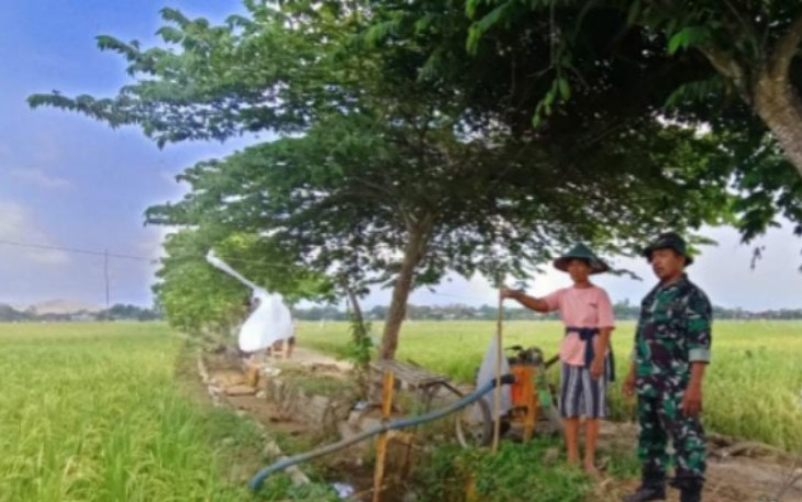 Pelda Nurhariyadi bersama petani wilayah desa binaan 