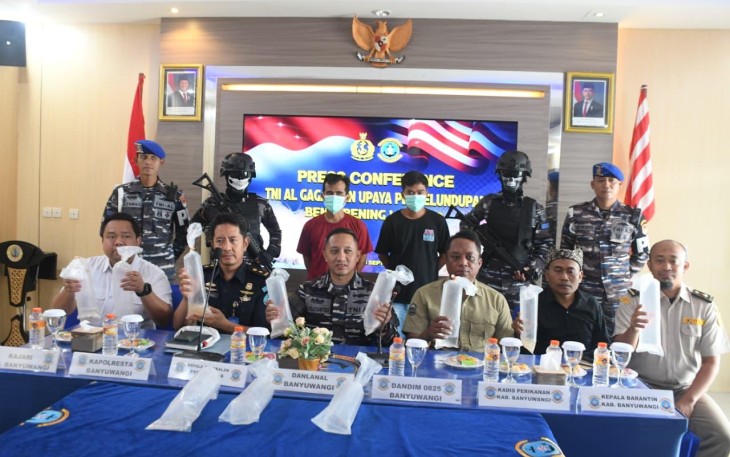 Tim Kodaeral Quick Respon Pangkalan TNI AL (Lanal) Banyuwangi berhasil menggagalkan upaya penyelundupan Benih Bening Lobster (BBL) sebanyak 85.000 ekor tanpa dilengkapi dokumen di wilayah Banyuwangi, Minggu (7/9)