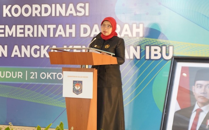 Direktur Sinkronisasi Urusan Pemerintahan Daerah IV Paudah