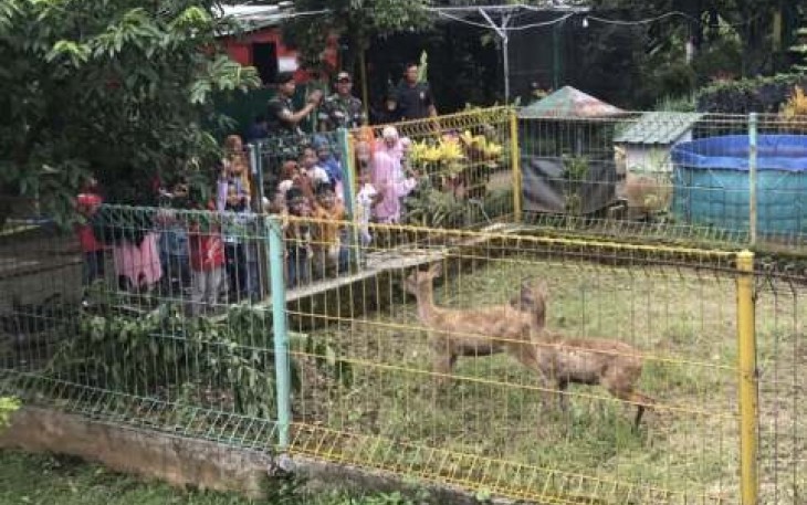 Anak-anak sekolah Griya Tahfidz Balita berinteraksi dengan rusa di rumah pintar Cakra Cendekia 2 Kostrad, Jum'at (23/5)