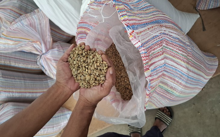 Kopi Asal Takengon 