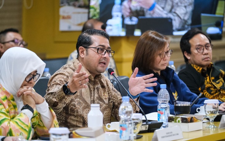 Menekraf Teuku Riefky paparkan strategi penguatan ekonomi kreatif daerah di rapat kerja bersama Komite III DPD RI, Jakarta (7/5/2025).