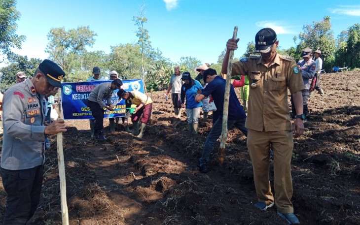 Pemdes Tangsi Duren Tanam Jagung Bersinergi TNI-Polri dan Pemkab Kepahiang