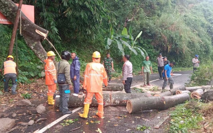 Pasca Pohon Tumbang Menutup Jalan