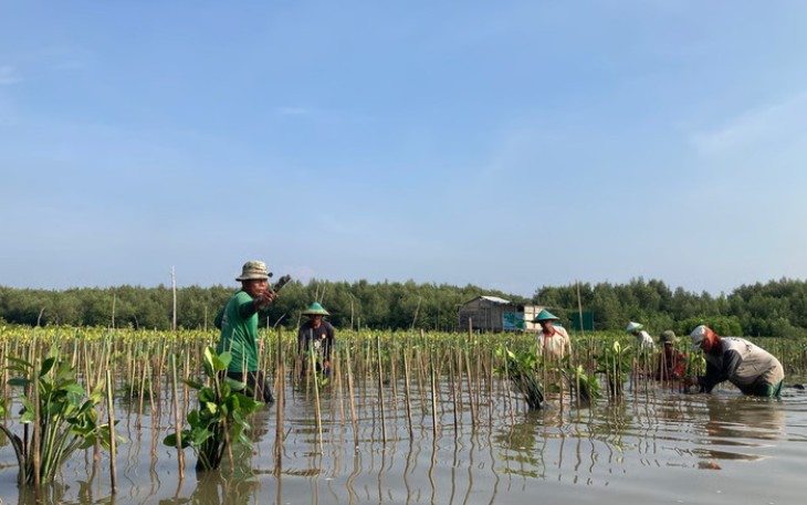 LindungiHutan Ajak Publik Rayakan Hari Menanam Pohon