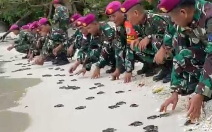 Satgas Pam Pulau Terluar ke-XXVIII Lepas Liarkan Tukik di Pulau Berhala 