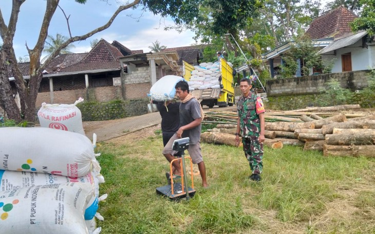 Babinsa Ponorogo Lakukan Pendampingan Bulog Beli Gabah Petani