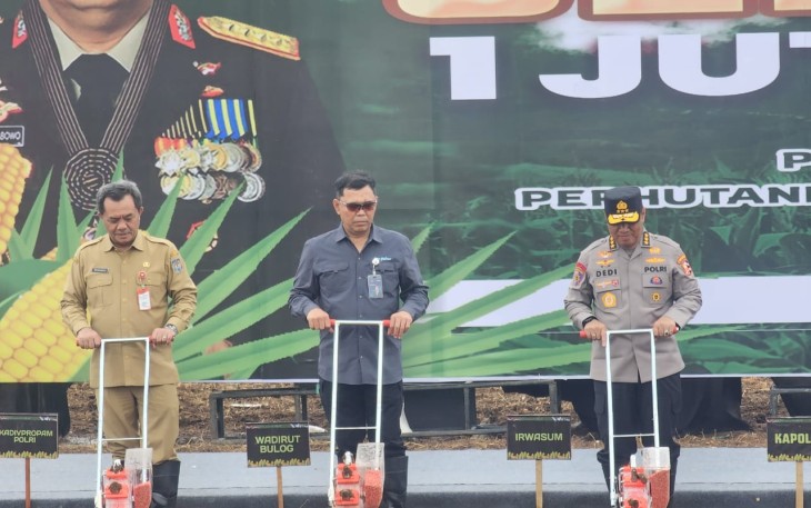 Penanaman Jagung Serentak 1 Juta Hektar di Subang